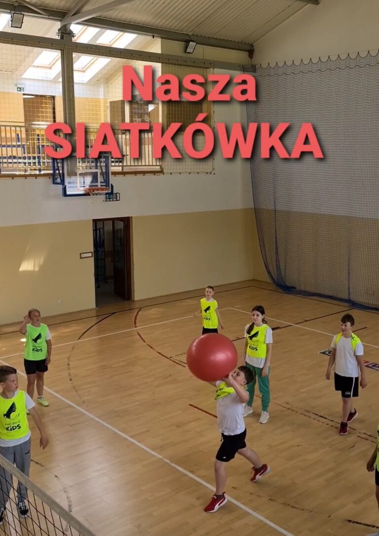 Gra – „Nasza Siatkówka”